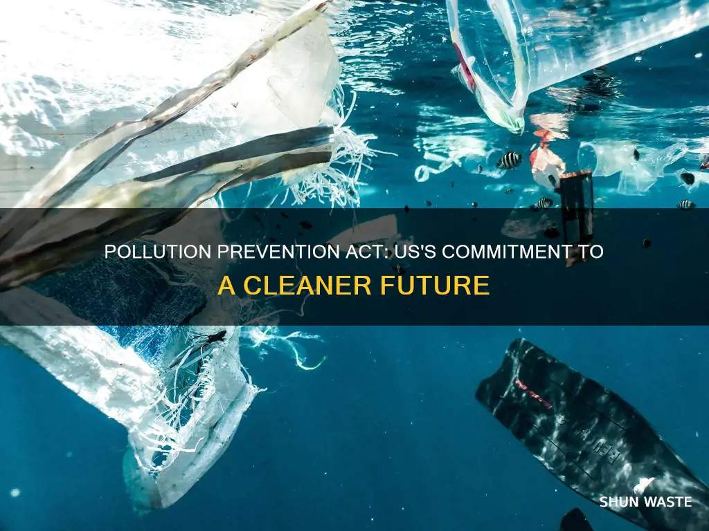 what did the the pollution prevention act of 1990 establish