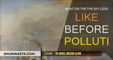 The Sky's Pre-Pollution Era: A Historical Perspective