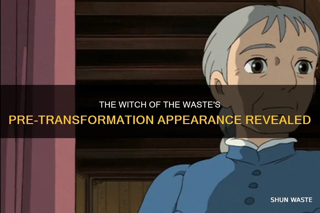 what did the witch of the waste look like before