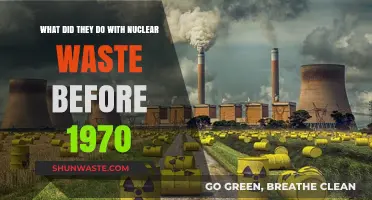 Pre-1970 Nuclear Waste Disposal: Early Practices and Their Legacy