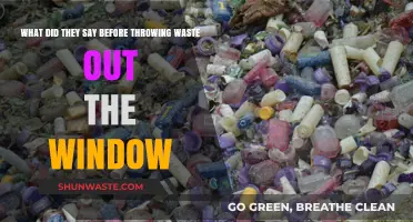 Historical Habits: Pre-Litter Phrases Before Tossing Waste Out Windows