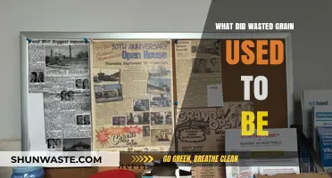 From Trash to Treasure: The Surprising History of Wasted Grain