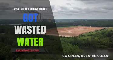 Last Night's Water Waste: My Intoxicated Misadventure and Lessons Learned