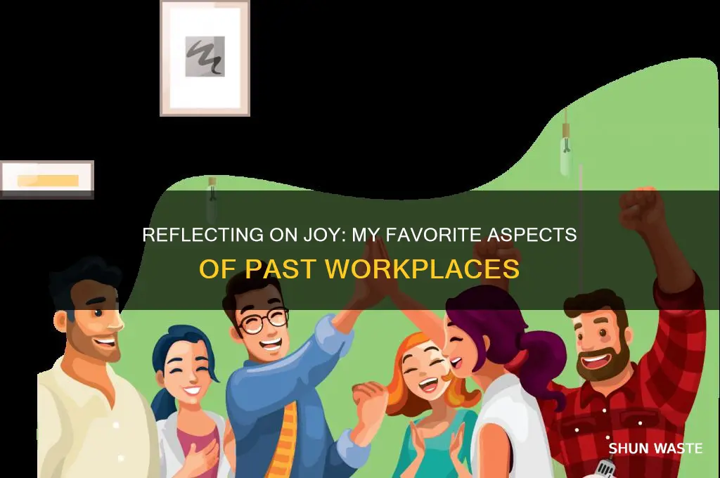 what did you enjoy most about your previous work environment