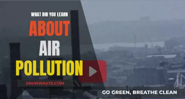 Air Pollution: What I Learned and Why it Matters