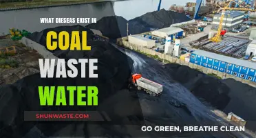 Coal Wastewater Contamination: Uncovering Hidden Diseases and Health Risks
