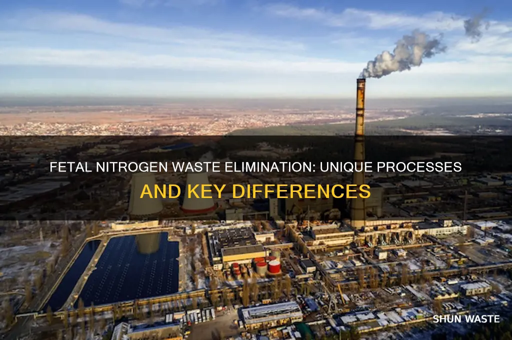 what differences in fetal elimination of nitrogenous wastes