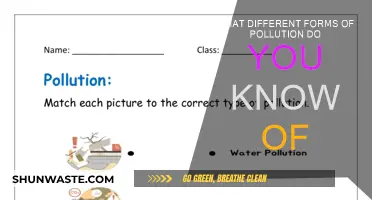 Pollution's Many Faces: Exploring Varied Forms of Environmental Degradation