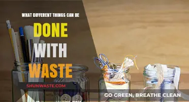 Creative Ways to Repurpose and Reduce Waste in Everyday Life