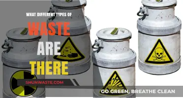 Exploring Diverse Waste Types: A Comprehensive Guide to Classification