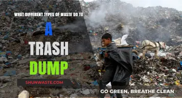 Exploring the Varied Waste Types Ending Up in Trash Dumps