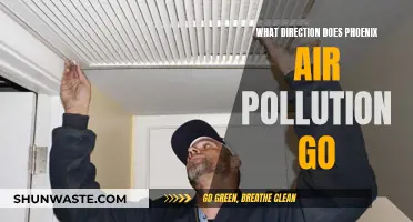 Air Pollution's Path: Phoenix's Environmental Challenge