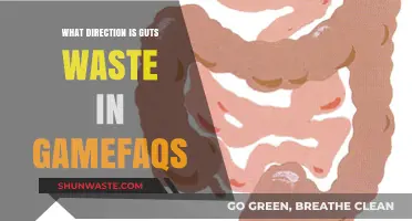 Guts Waste Direction in GameFAQs: A Comprehensive Guide