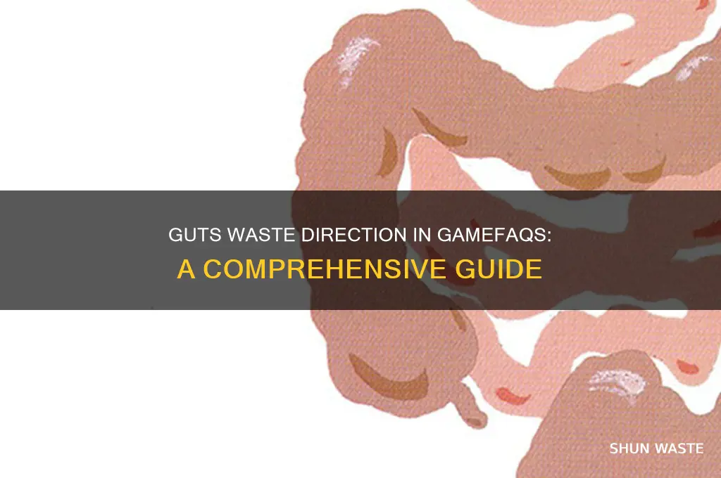 what direction is guts waste in gamefaqs