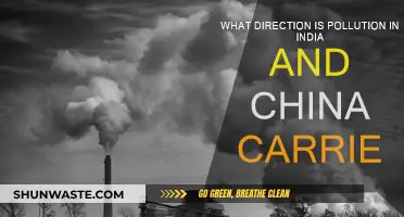 Air Pollution's Path: India and China's Plight