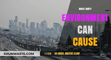 Dirty Environments Breed Health Risks, Diseases, and Long-Term Harmful Effects