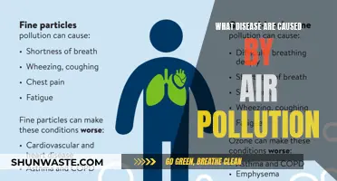 Unveiling the Health Hazards: Air Pollution's Impact on Disease