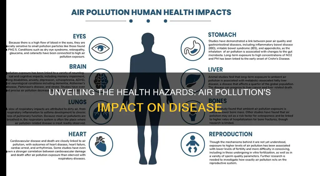 what disease are caused by air pollution