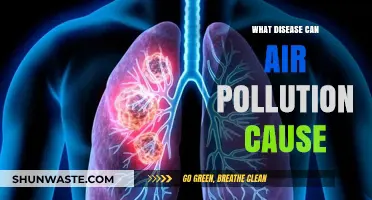 Unveiling the Health Hazards: Air Pollution's Impact on Disease