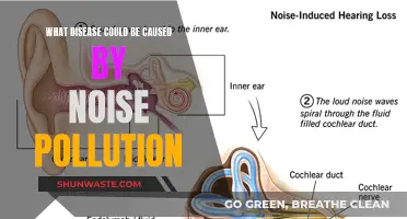 Uncovering the Hidden Dangers: Noise Pollution's Impact on Health