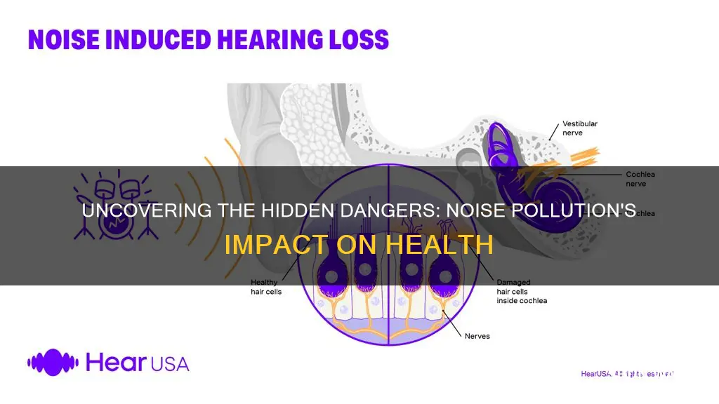 what disease could be caused by noise pollution