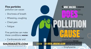 Unveiling the Health Hazards: Pollution's Impact on Disease