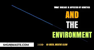 Genetics and Environment: Unraveling the Complex Link to Chronic Diseases