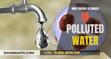 Unseen Dangers: Diseases Hidden in Polluted Water