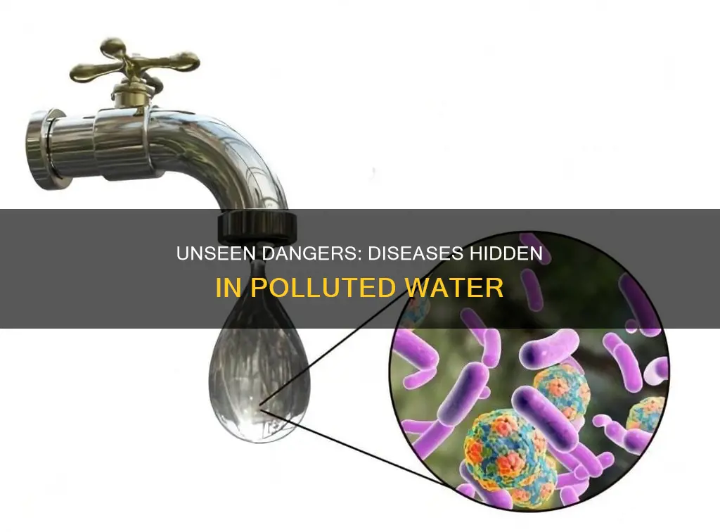 what disease is carried in polluted water