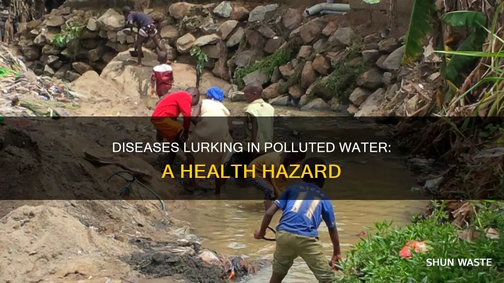 what disease is carried in polluted water