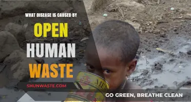 Open Human Waste Dangers: Diseases Linked to Poor Sanitation Explained