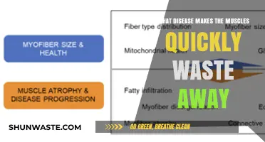 Rapid Muscle Atrophy: Understanding Diseases That Cause Quick Muscle Loss