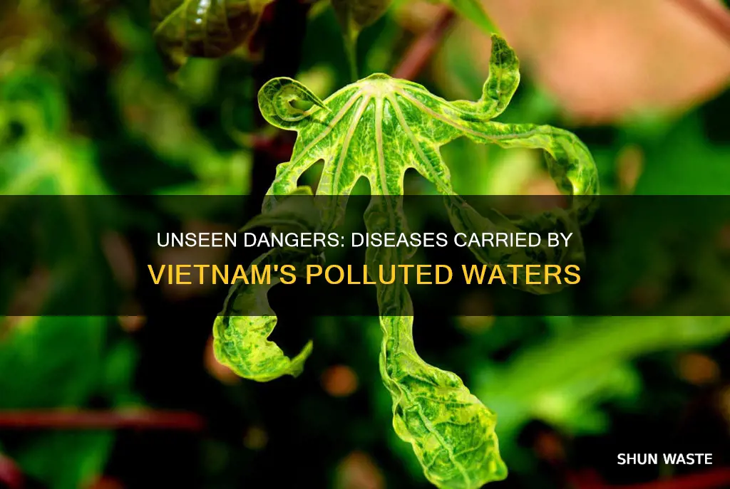 what diseases are carried by polluted water in vietnam