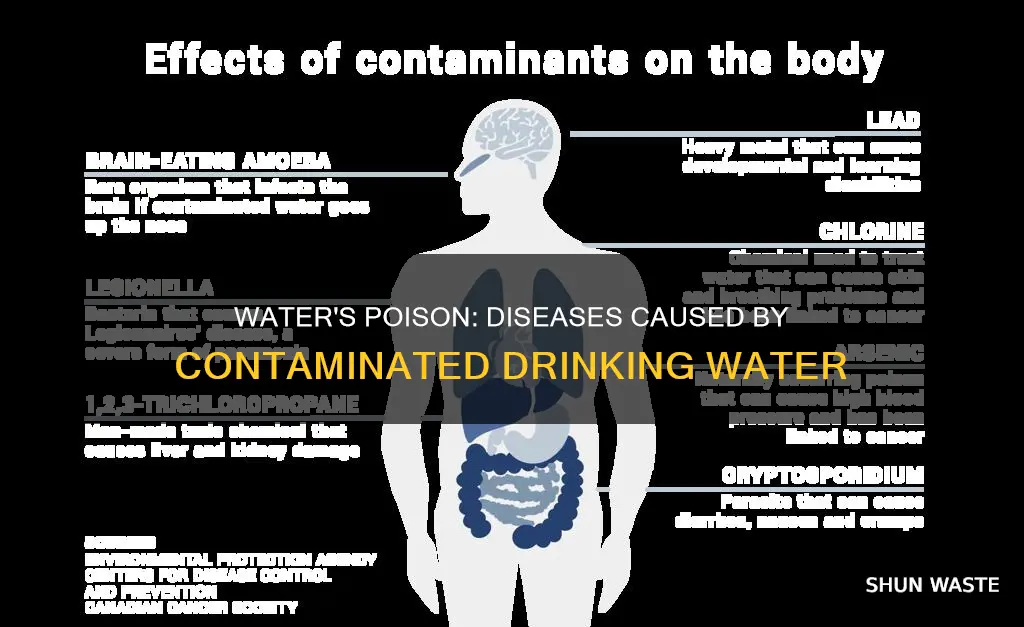 what diseases are caused by drinking polluted water