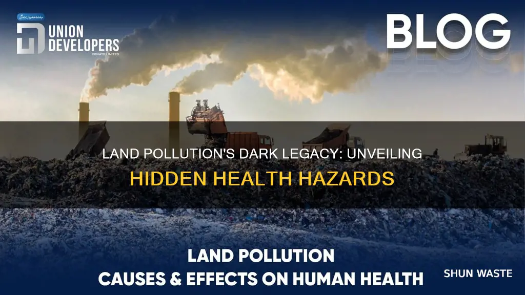 what diseases are caused by land pollution