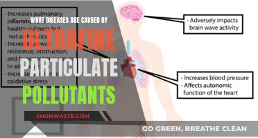 Unseen Hazards: Diseases Caused by Ultrafine Particulate Pollutants