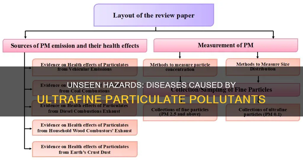 what diseases are caused by ultrafine particulate pollutants