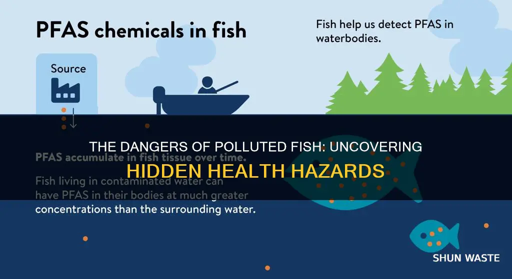 what diseases are caused from people eating polluted fish