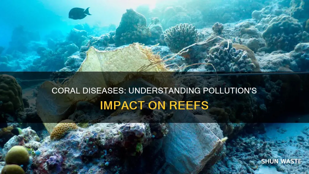 what diseases can coral get from pollution