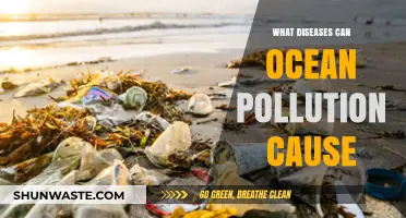 Ocean's Toxic Legacy: Unveiling Hidden Health Hazards