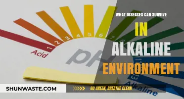 Alkaline Environments: Unveiling Diseases That Thrive in High pH Conditions