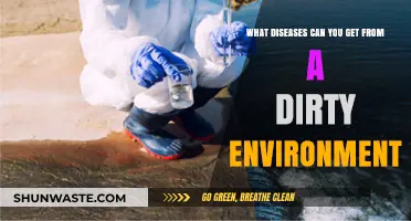 Dirty Surroundings, Deadly Consequences: Diseases Linked to Unhygienic Environments