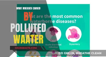 Unseen Dangers: Water Pollution's Impact on Human Health