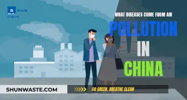 Air Pollution's Deadly Toll: China's Health Crisis