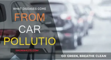 Traffic Fumes: What Health Risks Do They Pose?