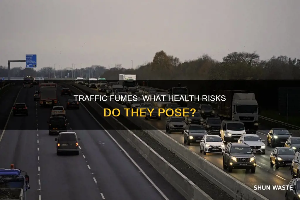 what diseases come from car pollution