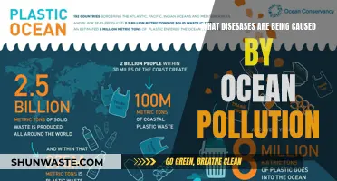 Ocean's Woes: Unveiling Diseases Caused by Pollution