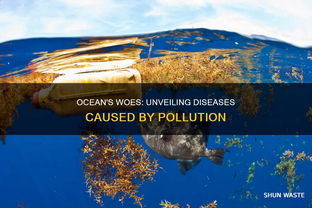 what disesases are being caused by ocean pollution