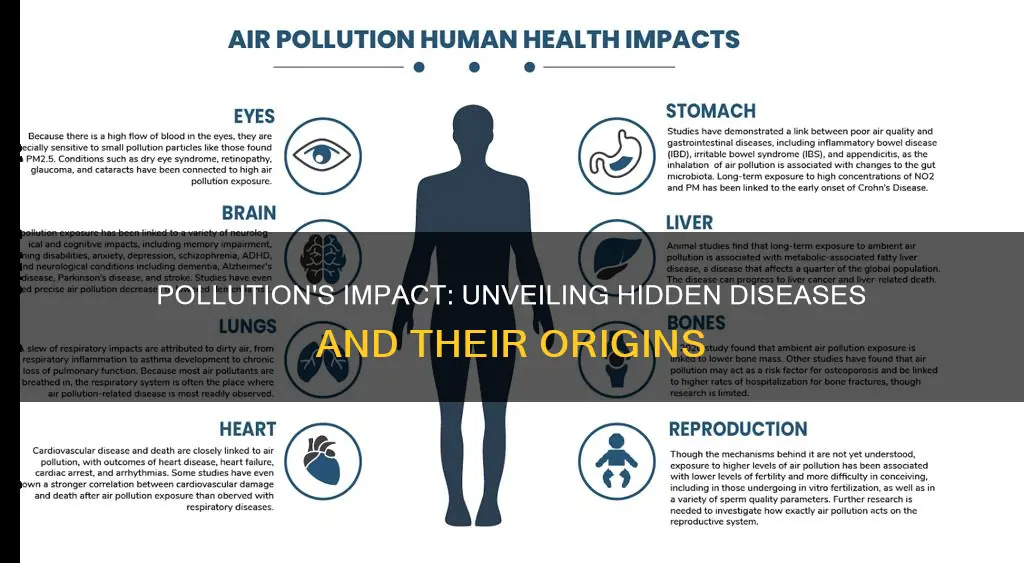 what disesases are being caused by pollution