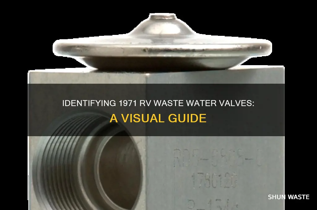 what do 1971 rv waste water valves look like